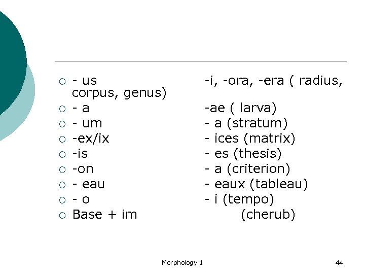 ¡ ¡ ¡ ¡ ¡ - us corpus, genus) -a - um -ex/ix -is