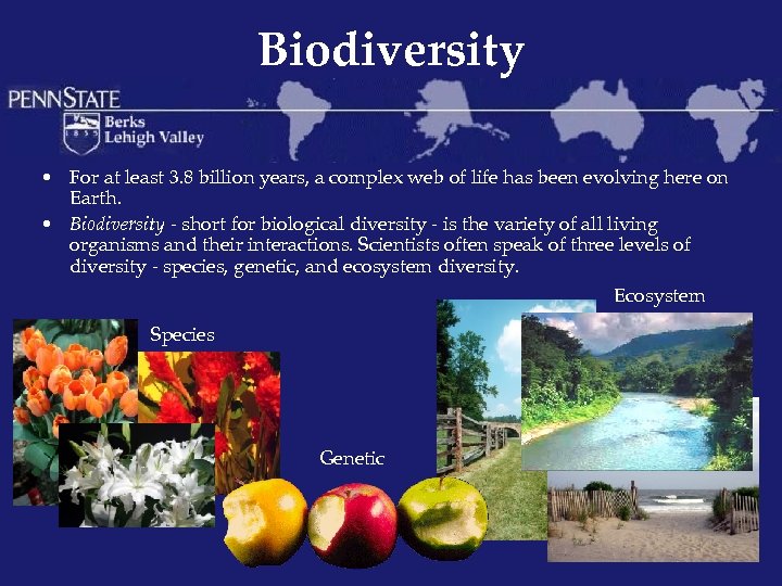 Biodiversity • For at least 3. 8 billion years, a complex web of life