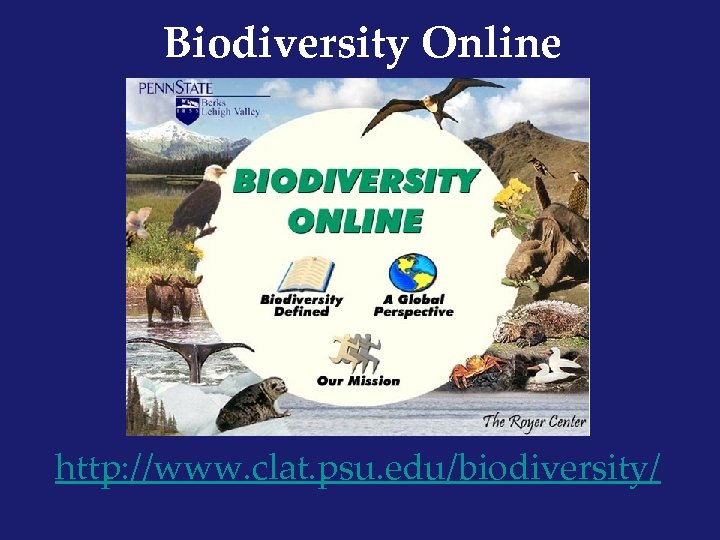 Biodiversity Online http: //www. clat. psu. edu/biodiversity/ 