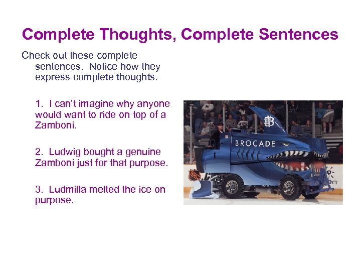 Complete Thoughts, Complete Sentences Check out these complete sentences. Notice how they express complete
