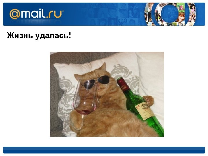 Жизнь удалась! 