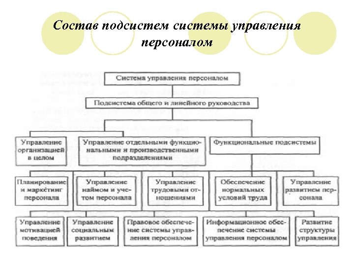 Проект системы управления персоналом не включает в себя