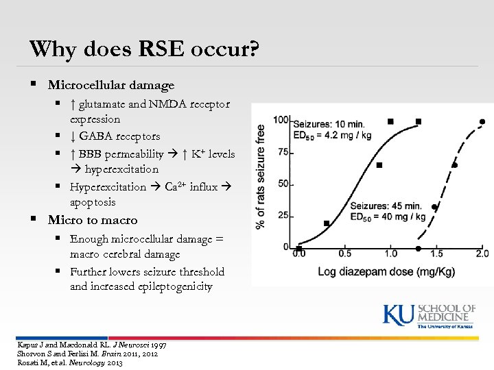 Why does RSE occur? § Microcellular damage § ↑ glutamate and NMDA receptor expression