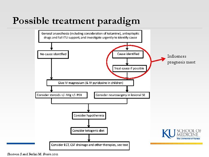 Possible treatment paradigm Influences prognosis most Shorvon S and Ferlisi M. Brain 2011 