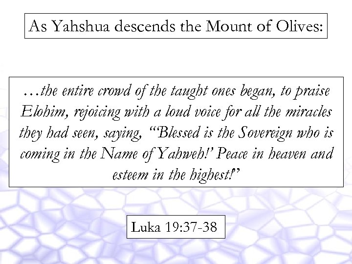 As Yahshua descends the Mount of Olives: …the entire crowd of the taught ones