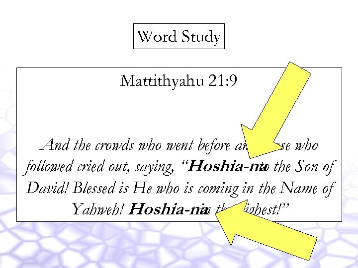 Word Study Mattithyahu 21: 9 And the crowds who went before and those who