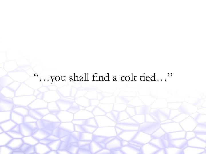 “…you shall find a colt tied…” 