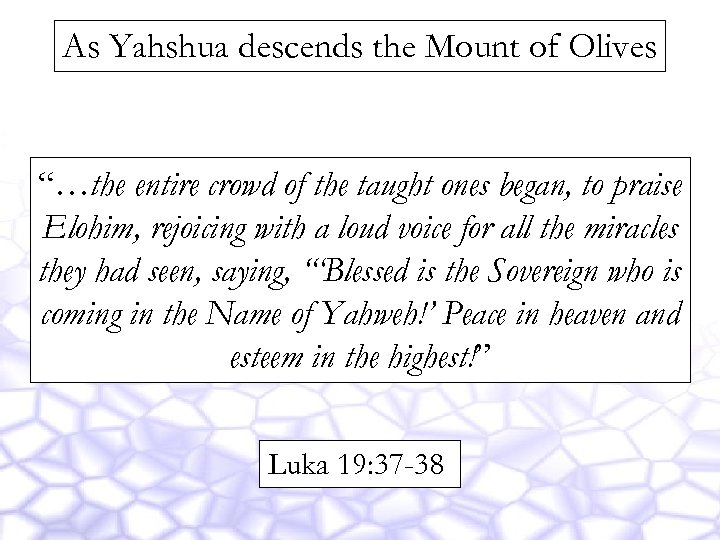 As Yahshua descends the Mount of Olives “…the entire crowd of the taught ones