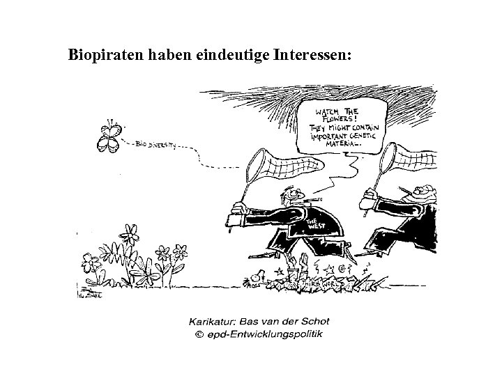 Biopiraten haben eindeutige Interessen: 