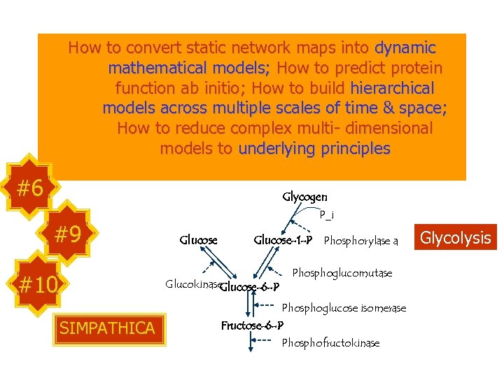 How to convert static network maps into dynamic mathematical models; How to predict protein