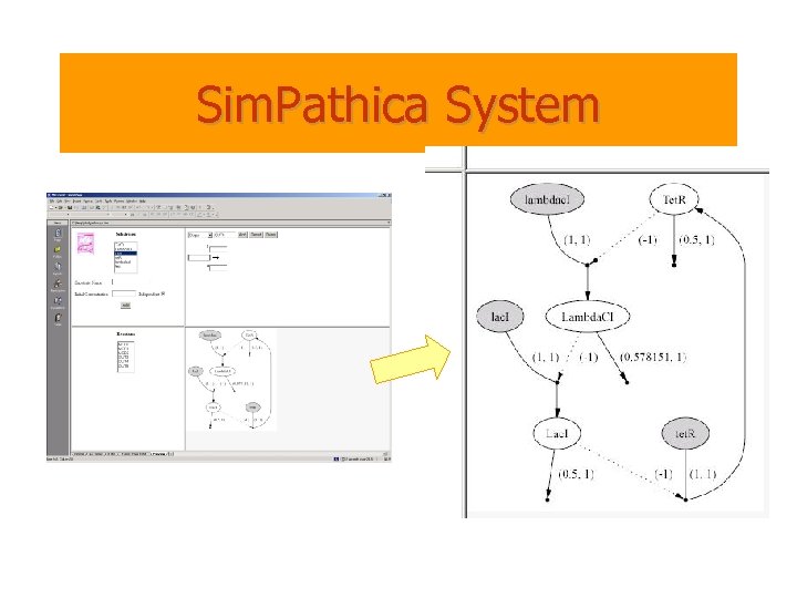 Sim. Pathica System 