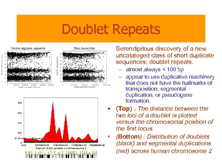 Doublet Repeats • Serendipitous discovery of a new uncataloged class of short duplicate sequences;