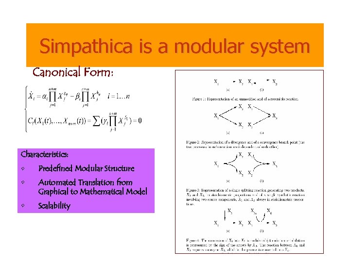 Simpathica is a modular system Canonical Form: Characteristics: • Predefined Modular Structure • Automated