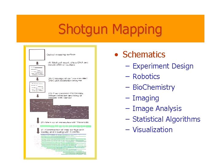 Shotgun Mapping • Schematics – – – – Experiment Design Robotics Bio. Chemistry Imaging