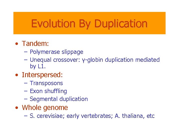 Evolution By Duplication • Tandem: – Polymerase slippage – Unequal crossover: γ-globin duplication mediated