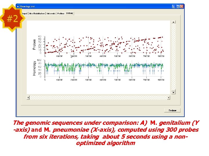 #2 The genomic sequences under comparison: A) M. genitalium (Y -axis) and M. pneumoniae