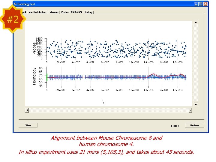 #2 Alignment between Mouse Chromosome 8 and human chromosome 4. In silico experiment uses