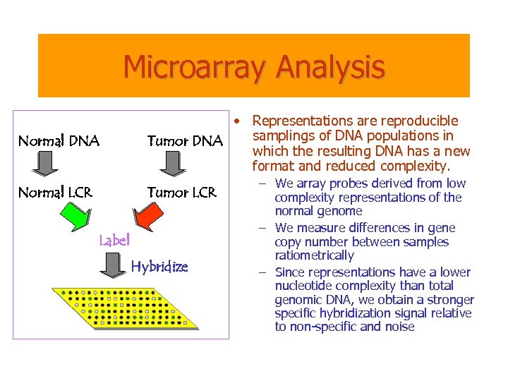 Microarray Analysis Normal DNA • Representations are reproducible samplings of DNA populations in Tumor