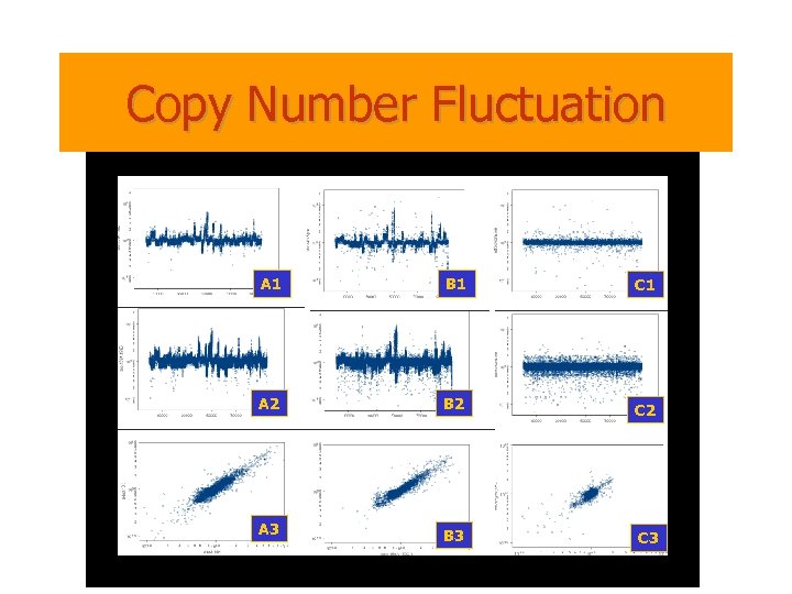 Copy Number Fluctuation A 1 B 1 C 1 A 2 B 2 C