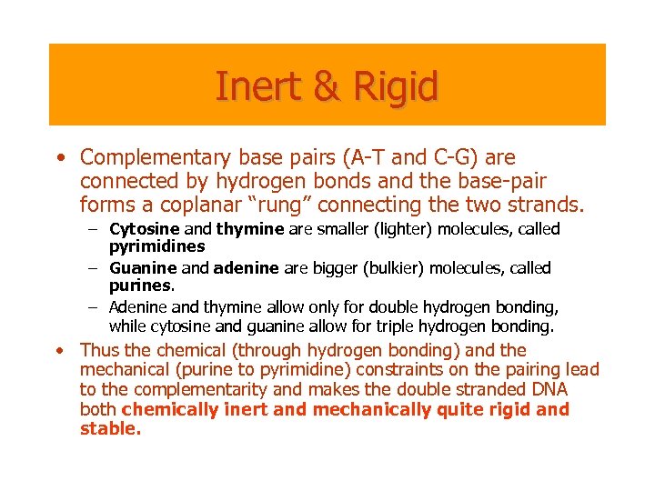 Inert & Rigid • Complementary base pairs (A-T and C-G) are connected by hydrogen