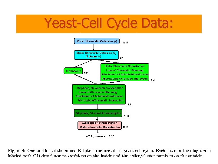 Yeast-Cell Cycle Data: Spellman et al. 