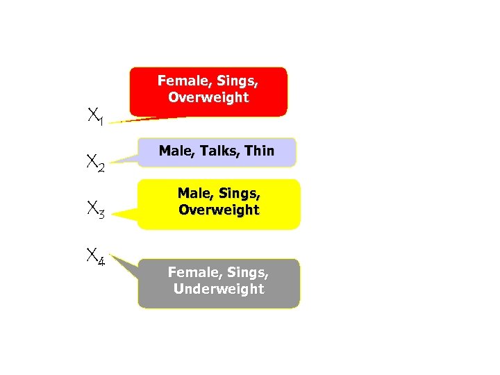 X 1 X 2 X 3 X 4 Female, Sings, Overweight Male, Talks, Thin