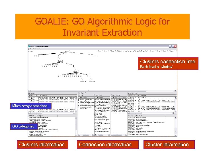 GOALIE: GO Algorithmic Logic for Invariant Extraction Clusters connection tree Each level a “window”
