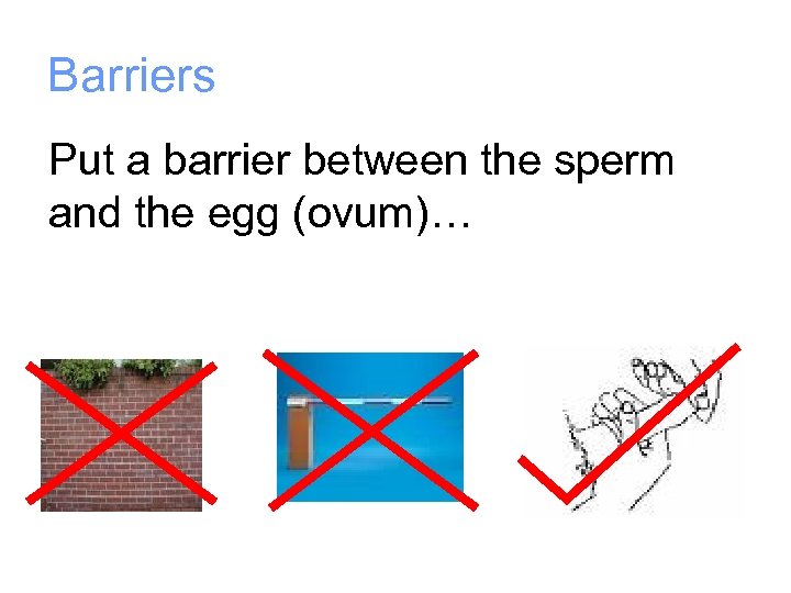 Barriers Put a barrier between the sperm and the egg (ovum)… 