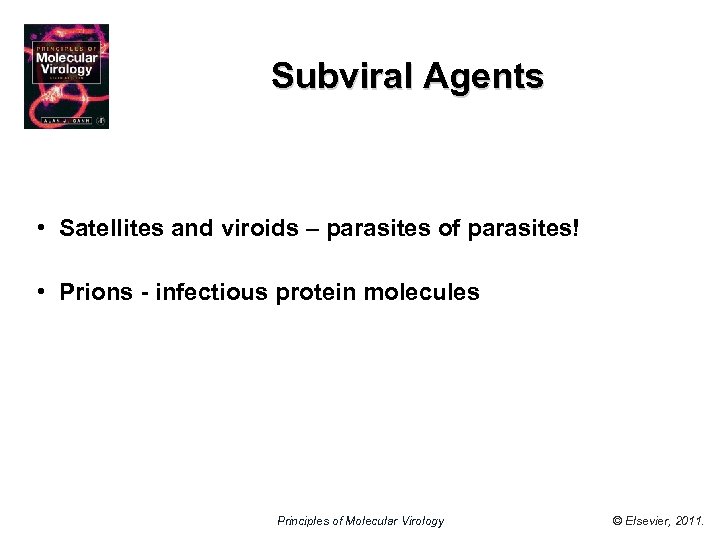 Subviral Agents • Satellites and viroids – parasites of parasites! • Prions - infectious