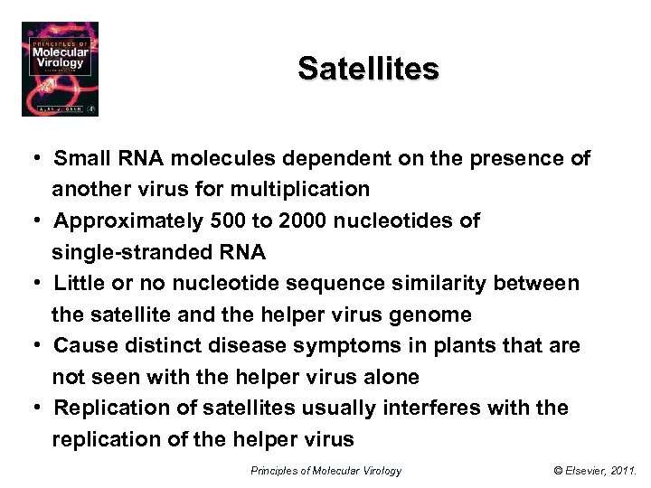 Satellites • Small RNA molecules dependent on the presence of another virus for multiplication
