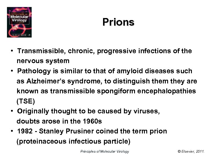 Prions • Transmissible, chronic, progressive infections of the nervous system • Pathology is similar