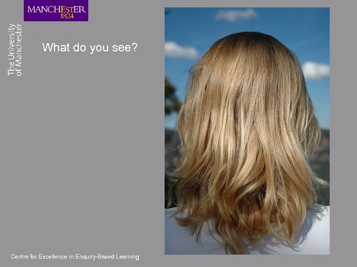 What do you see? Centre for Excellence in Enquiry-Based Learning 