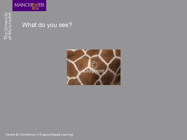 What do you see? Centre for Excellence in Enquiry-Based Learning 