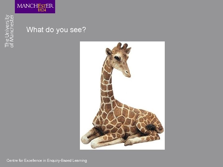 What do you see? Centre for Excellence in Enquiry-Based Learning 