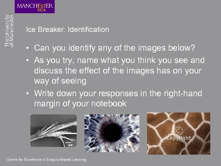 Ice Breaker: Identification • Can you identify any of the images below? • As