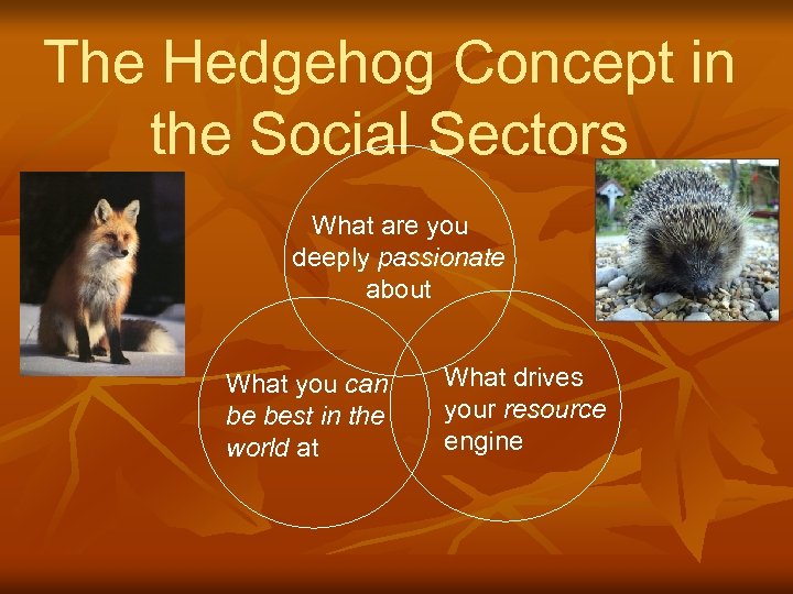 The Hedgehog Concept in the Social Sectors What are you deeply passionate about What