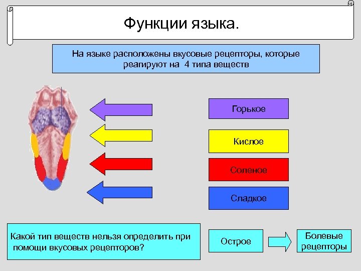 Язык и речь основные функции языка