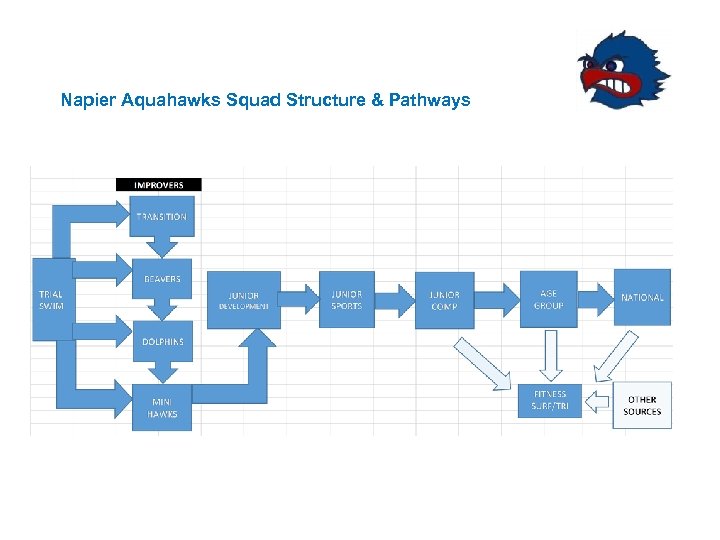 Napier Aquahawks Squad Structure & Pathways 