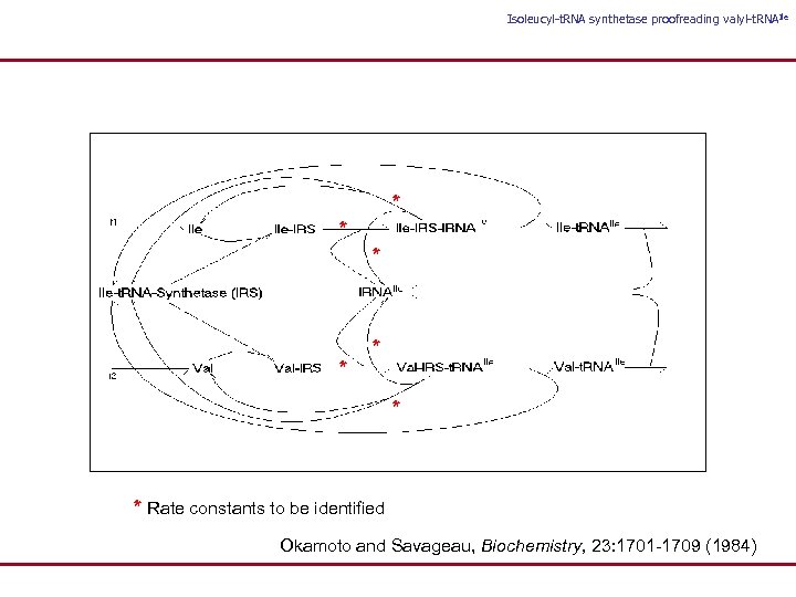 Isoleucyl-t. RNA synthetase proofreading valyl-t. RNAIle * * * * Rate constants to be