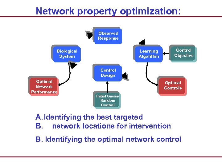 Network property optimization: Observed Response Biological System Control Objective Learning Algorithm Control Design Optimal