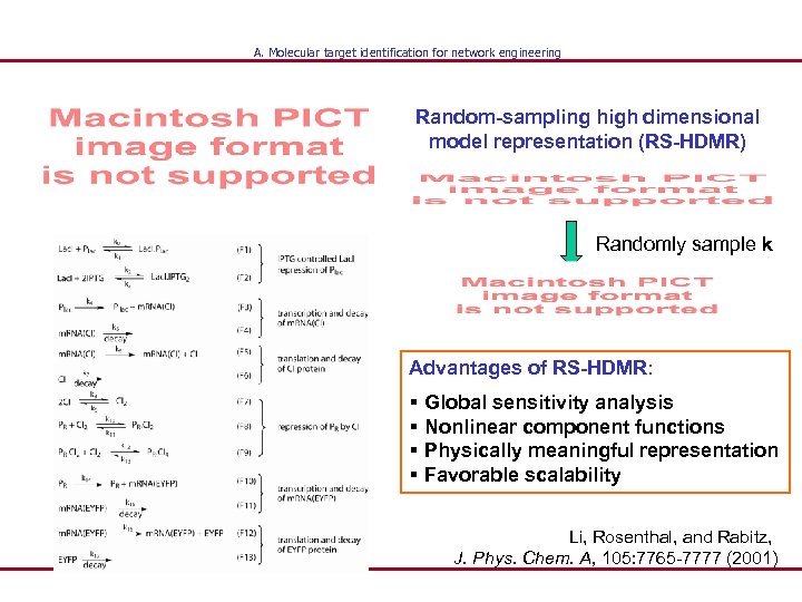 A. Molecular target identification for network engineering Random-sampling high dimensional model representation (RS-HDMR) Randomly