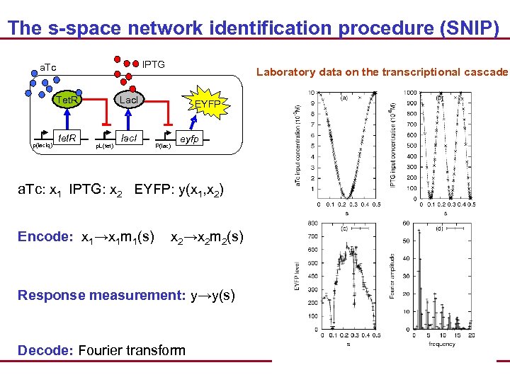 The s-space network identification procedure (SNIP) IPTG a. Tc Tet. R p(lac. Iq) tet.