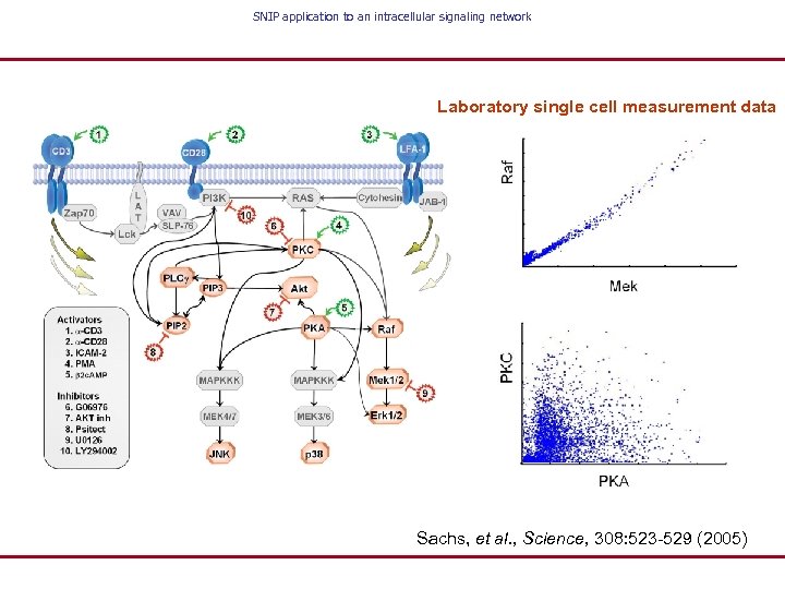 SNIP application to an intracellular signaling network Laboratory single cell measurement data Sachs, et