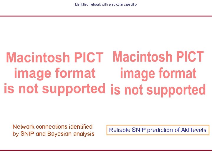 Identified network with predictive capability Network connections identified by SNIP and Bayesian analysis Reliable