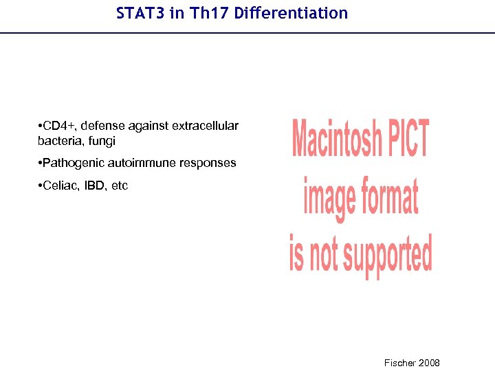 STAT 3 in Th 17 Differentiation • CD 4+, defense against extracellular bacteria, fungi