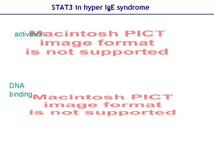 STAT 3 in hyper Ig. E syndrome activation DNA binding 