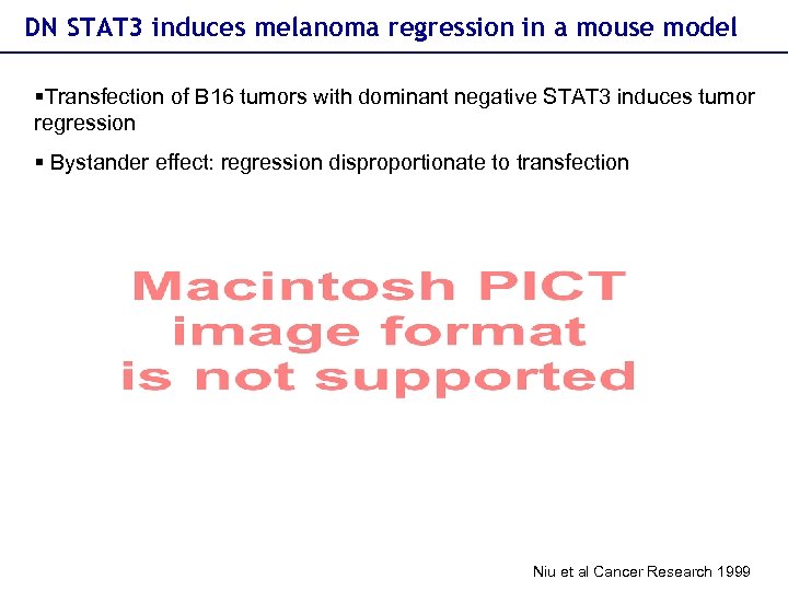 DN STAT 3 induces melanoma regression in a mouse model §Transfection of B 16
