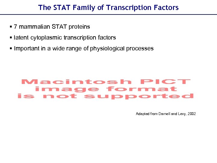 The STAT Family of Transcription Factors § 7 mammalian STAT proteins § latent cytoplasmic