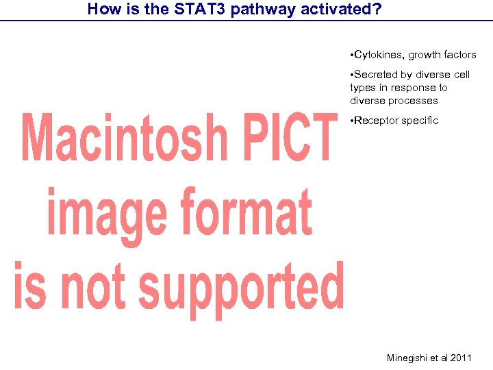 How is the STAT 3 pathway activated? • Cytokines, growth factors • Secreted by