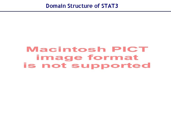 Domain Structure of STAT 3 
